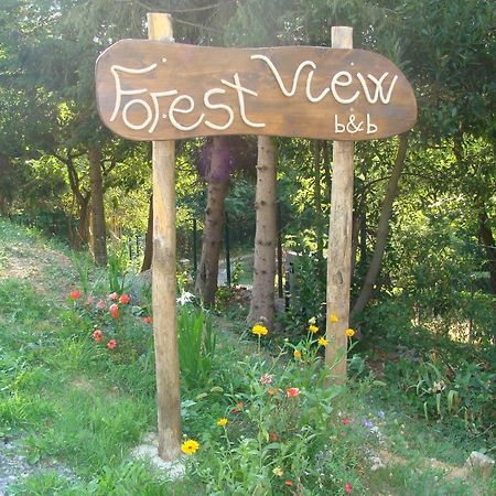 Forest View B&B Gavi Exterior foto