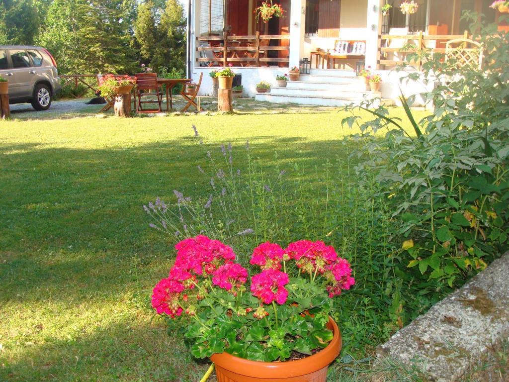 Forest View B&B Gavi Exterior foto